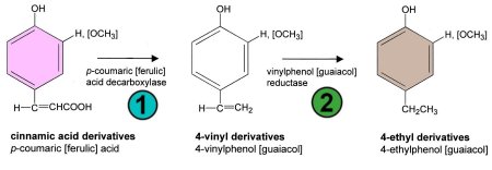 Formation of 4-ethyl phenol in wine