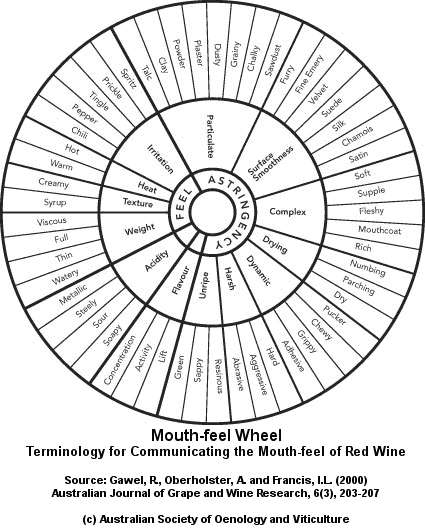 Wine Tasting Wheel