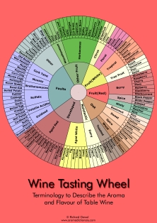 Click Here for More Detail on This Essential Wine Tasting Tool